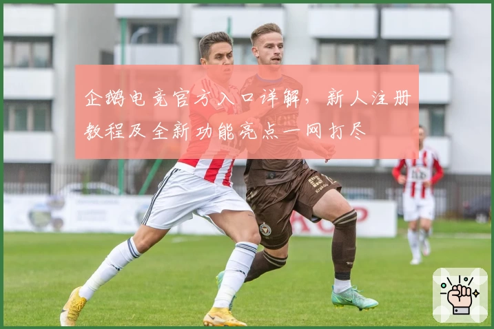 企鹅电竞官方入口详解，新人注册教程及全新功能亮点一网打尽
