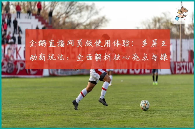 企鹅直播网页版使用体验：多屏互动新玩法，全面解析核心亮点与操作教程