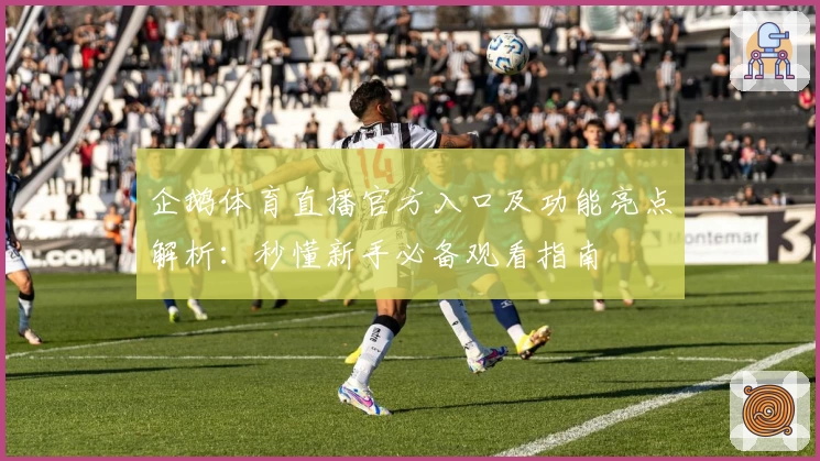 企鹅体育直播官方入口及功能亮点解析：秒懂新手必备观看指南