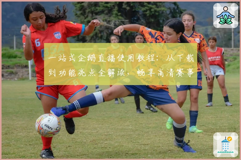 一站式企鹅直播使用教程：从下载到功能亮点全解读，畅享高清赛事体验