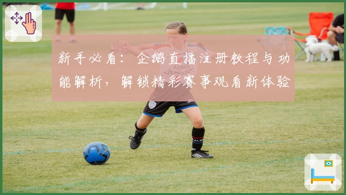 新手必看：企鹅直播注册教程与功能解析，解锁精彩赛事观看新体验