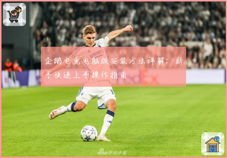 企鹅电竞电脑版安装方法详解：新手快速上手操作指南