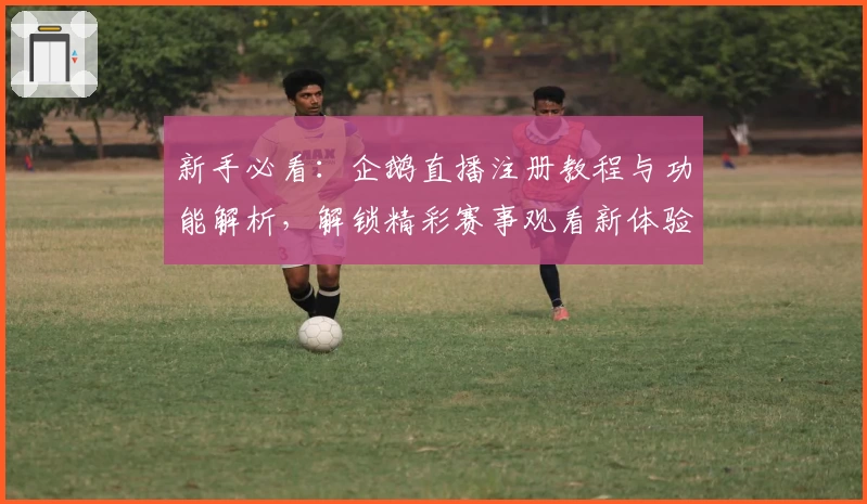 新手必看：企鹅直播注册教程与功能解析，解锁精彩赛事观看新体验