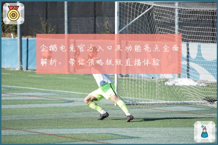 企鹅电竞官方入口及功能亮点全面解析，带你领略极致直播体验