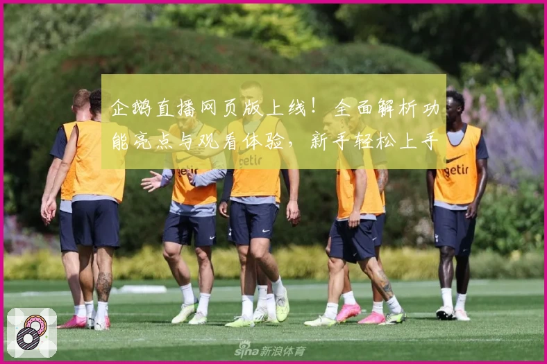 企鹅直播网页版上线！全面解析功能亮点与观看体验，新手轻松上手教程